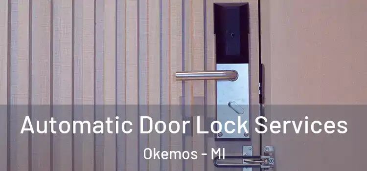  Automatic Door Lock Services Okemos - MI
