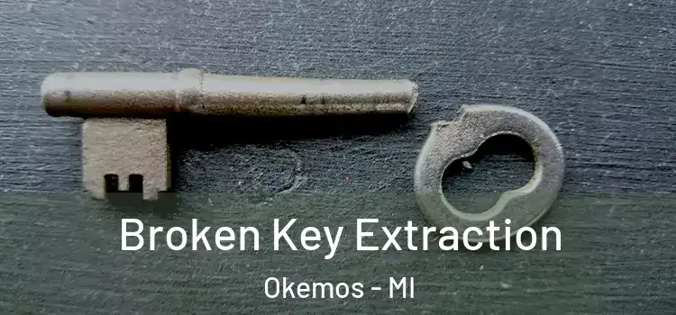  Broken Key Extraction Okemos - MI